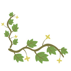 Vertical vine with alternating green leaves. Suitable for botanical illustrations, eco packaging, or minimalist nature designs.