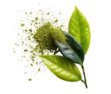 Green tea powder exploding over fresh leaves