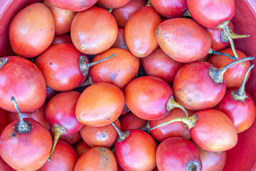 Ecuadorian tree tomatoes, an exotic Andean fruit with vibrant color and unique flavor, symbol of tropical biodiversity, healthy eating, and South America's agricultural richness.