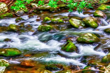 Fast-flowing stream over mossy rocks