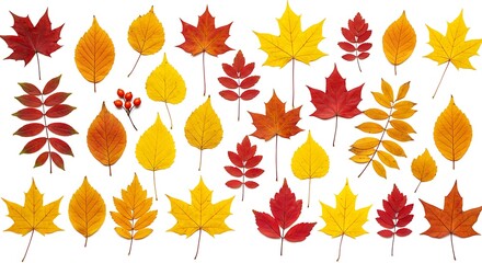 Fototapeta premium Collection of colorful autumn leaves arranged in a grid pattern