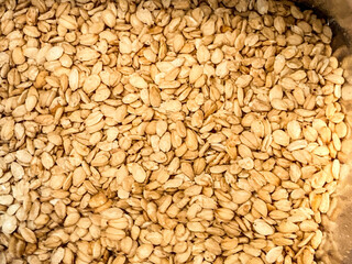 白ごまのクローズアップ / White Sesame Seeds Close-up