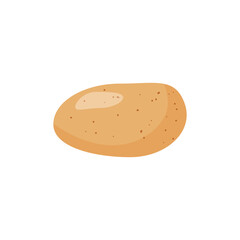 Potatoes isolated vegetables. Ripe potato vegetable cutout. Vector illustration 