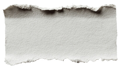 A close-up of a ripped piece of off-white paper.  The edges are ragged and uneven, showing the texture of the paper fibers.  The paper's surface is smooth but slightly textured