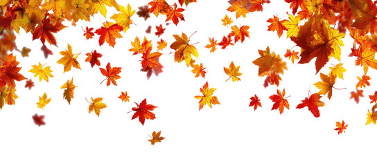 Falling autumn leaves on black background (3)
