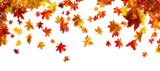 Falling autumn leaves on black background (3)