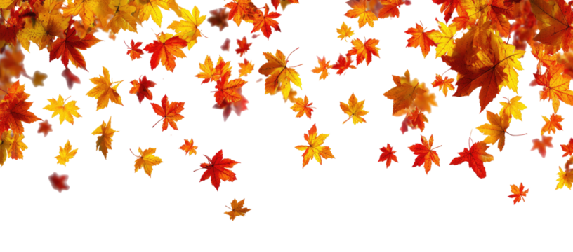 Falling autumn leaves on black background (3)