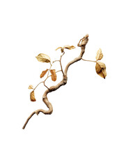 Detailed illustration of a withered branch with leaves