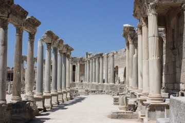 Obraz premium Sunlit stone columns line a pathway in ancient ruins