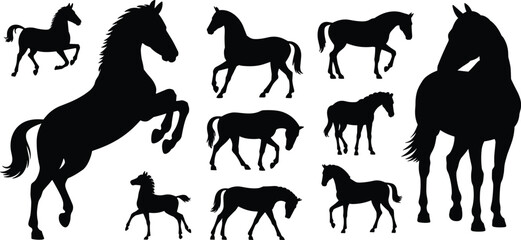 Black horse silhouettes set, walking, running, rearing, grazing, various horse poses, perfect vector clipart for design, illustration, decoration, white background, wild horses