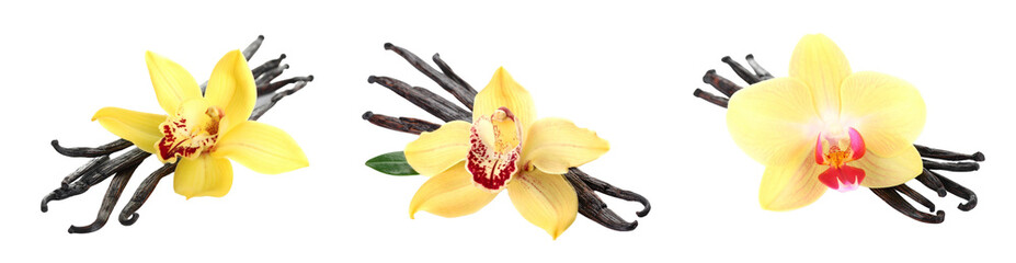 Three Yellow Orchids With Dark Vanilla Beans On Transparent Background
