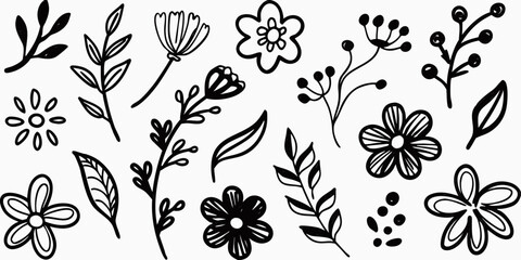 Hand drawn black and white botanical elements collection featuring flowers leaves and berries