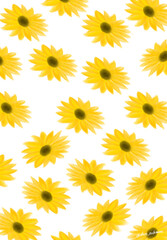 background of flowers