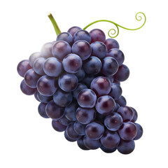 Fototapeta premium Delicious dark grapes, a healthy snack, bursting with flavor, perfect for summer recipes