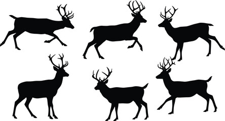 Deer silhouette set, stag animal vector, wildlife nature illustration, forest creatures, running and standing deer shapes, antlered deer icons