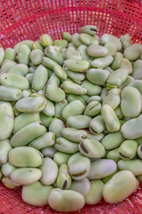Fresh fava beans: natural texture, vibrant color, and organic essence. Perfect for concepts of nutrition, sustainable farming, and traditional Latin American cuisine.