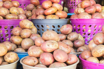 Fresh chola potatoes or superchola patatoes with earthy texture and natural light. Perfect for themes of agriculture, organic food, homemade cooking, and local products.