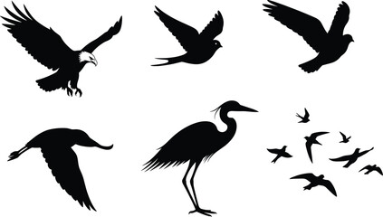 Flying birds silhouettes, eagle, heron, doves, flock in flight, wildlife vector, black bird icon, nature, freedom, winged animals