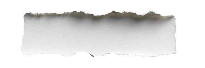 Ripped Rectangular White Paper
