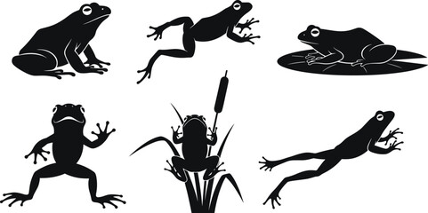 Frog silhouettes in various poses, jumping frog, sitting frog on lily pad, frog with cattails, amphibian vector 