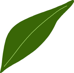 green, leaf, plant, nature, botanical, fresh, garden, foliage, stem, natural, simple, organic, drawing, illustration, single, vibrant, bright, aesthetic, healthy, life, growth, peaceful, calm, serene,