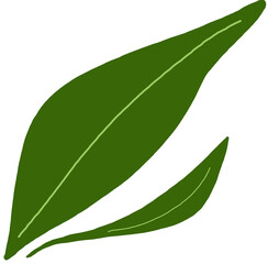 green, leaf, plant, nature, botanical, fresh, garden, foliage, stem, natural, simple, organic, drawing, illustration, single, vibrant, bright, aesthetic, healthy, life, growth, peaceful, calm, serene,