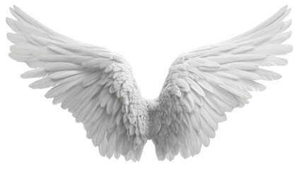 Fototapeta premium Pair of detailed, white angel wings