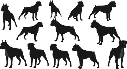 Boxer dog silhouette set, black vector illustrations in various standing poses, domestic pet design, muscular canine breed, guard animal graphic