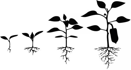 Set of silhouettes of peppers...