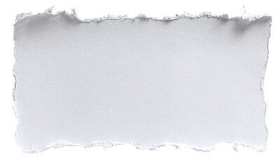 A rectangular piece of torn white paper (1)