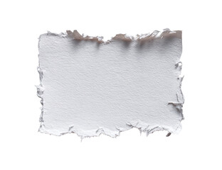 Obraz premium A textured, off-white paper fragment with irregular edges
