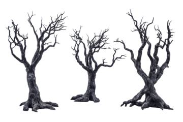 Gnarled bare trees isolated on transparent background. Old dead spooky trees isolated on white background.