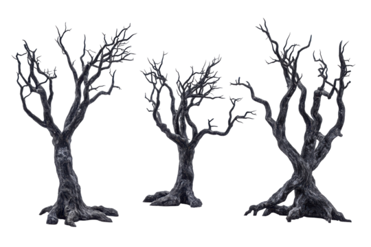 Gnarled bare trees isolated on transparent background. Old dead spooky trees isolated on white background.