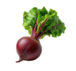 Close-up of a vibrant red beet with fresh green leaves