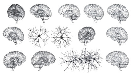 Medical imaging shows a brain, cross-sections, grey matter, on a black background, for medical research use