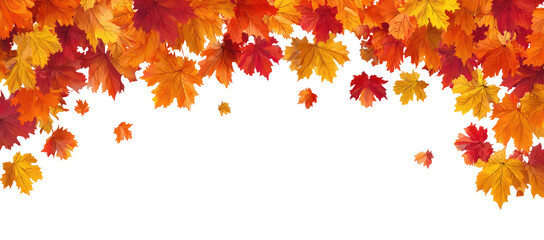 Autumn leaves fall over black background