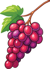 Fresh purple grapes on a branch with green leaf. Perfect for concepts of fruit, harvest, vineyard, organic food, juice, healthy lifestyle, vegetarian meals, natural sweetness, and nutrition