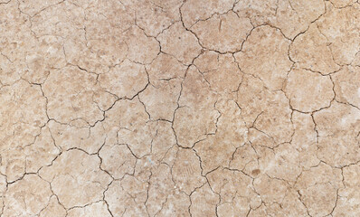 The ground has cracks in the top view for the background