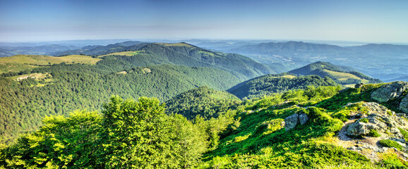 Beautiful summer landscape in the mountain