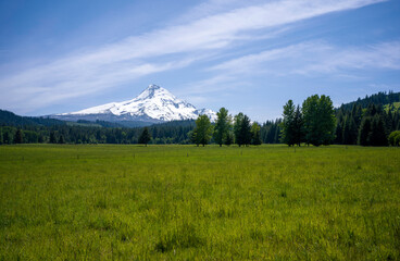 Mount Hood from a Field near Parkdale, Oregon, Taken in Spring