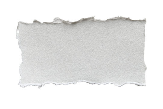 A torn rectangular piece of white paper