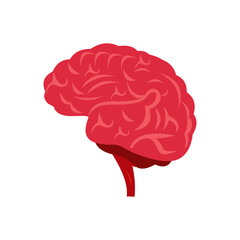    brain Ilustrasi