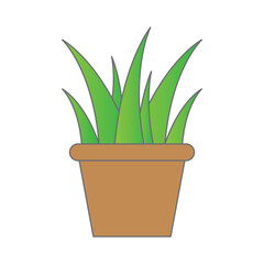 cactus in pot illustration