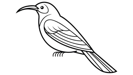 Fototapeta premium Line drawing of a bird with a curved beak on white background