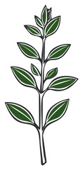 Fototapeta premium Artistic Oregano Sprig Illustration Green Leaves Outlined Black Simple Herb