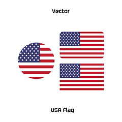 USA Flag Vector