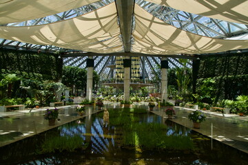 Yeomiji Greenhouse Interior with Pool