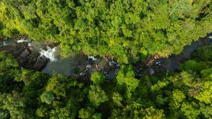 Aerial view of dark green forest on mountain with waterfall and mist. Rich natural ecosystem of rainforest. Conservation and reforestation concept.