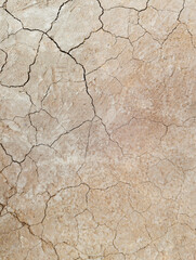 The ground has cracks in the top view for the background