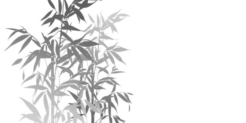 Monochrome Bamboo Illustration  Asian Design Background